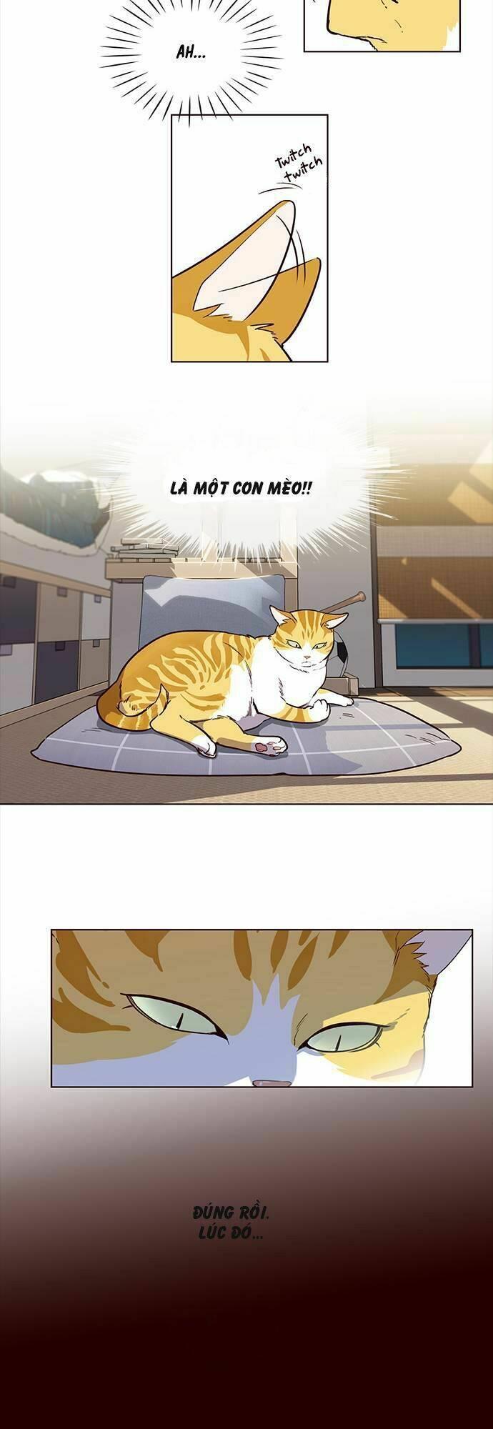 biến thân thành mèo chapter 1 26
