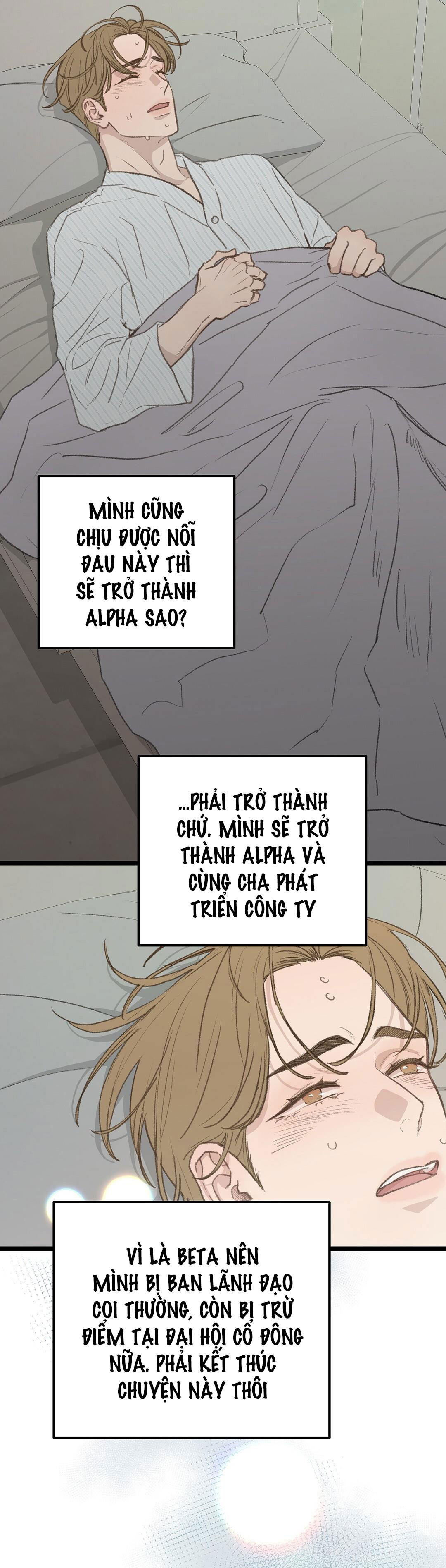 vùng cấm tình yêu của beta chapter 45 14