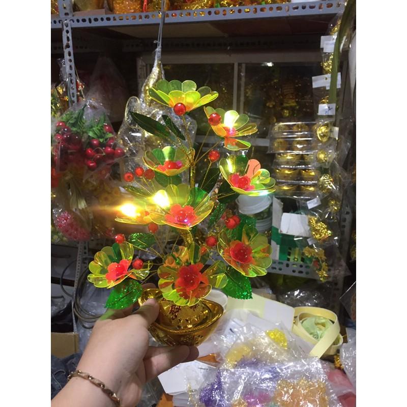 Cây kim tiền trang trí hoa lưu ly 30cm phk shop