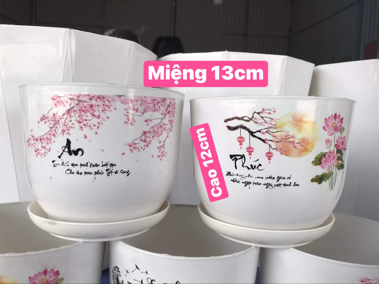 Chậu nhựa trồng cây để bàn xinh xắn rông 13cm - cao 12cm