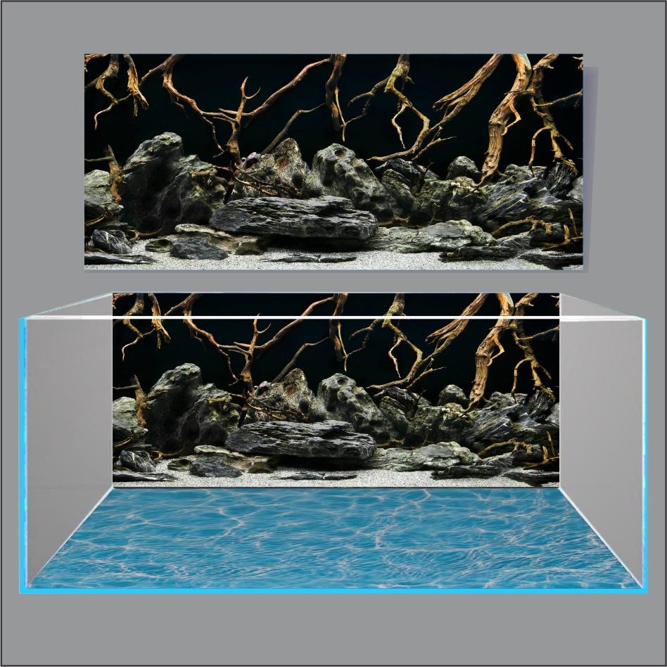 TRANH THỦY SINH DÁN HỒ CÁ 3D NEW DESIGN