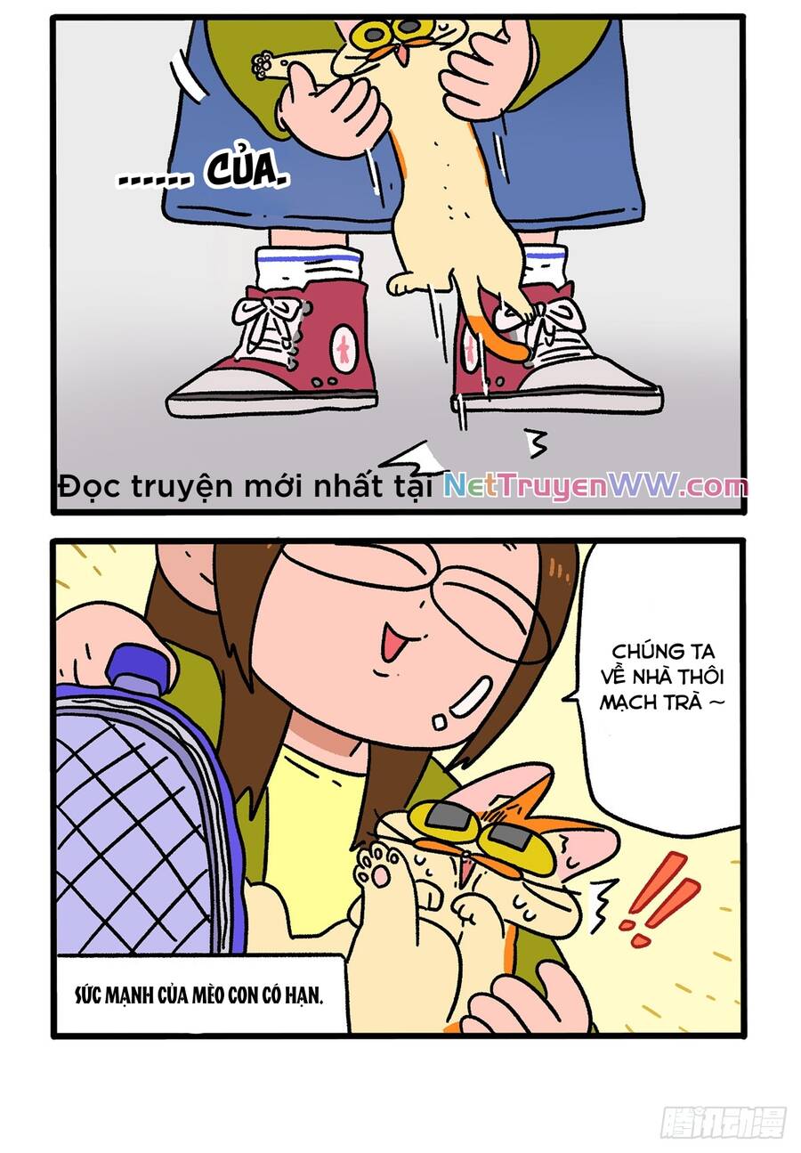 a mãn và mạch trà chapter 154 4