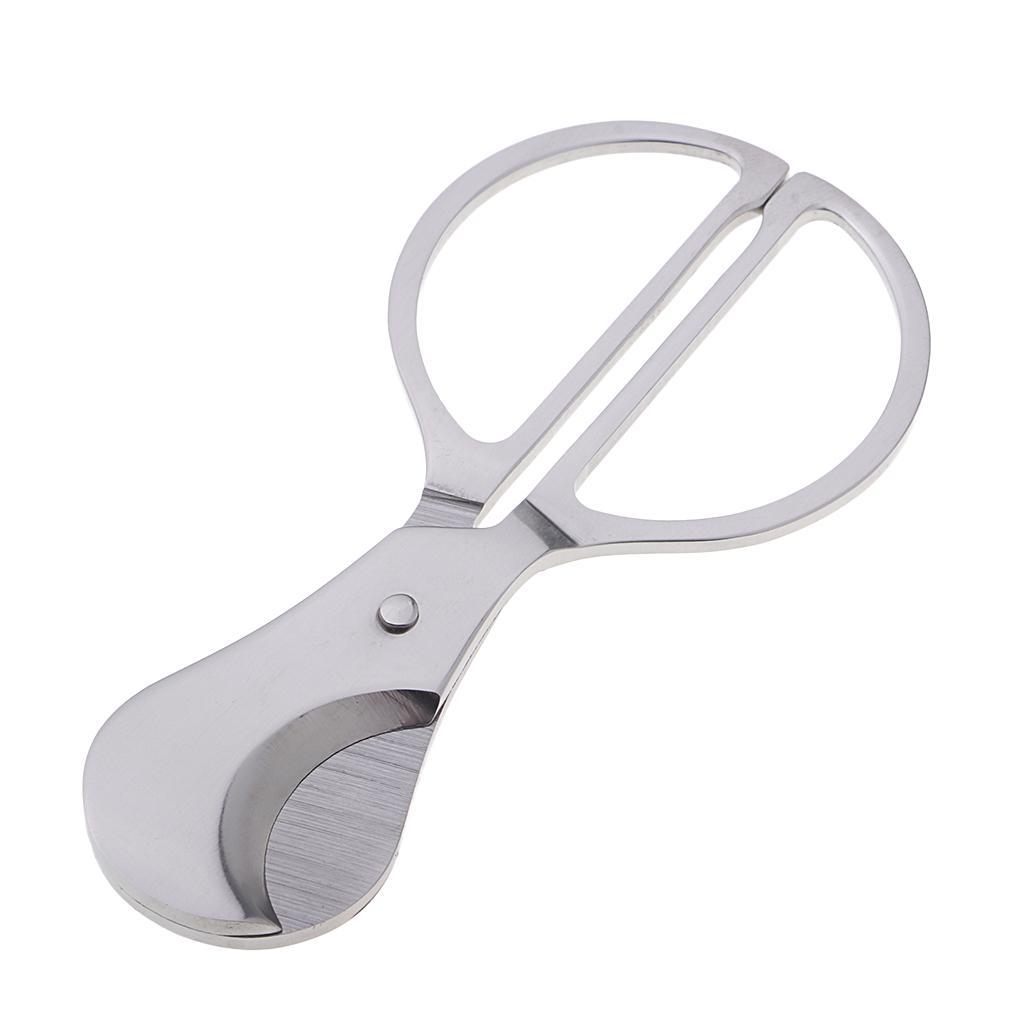 Stainless Steel       Scissors Tools