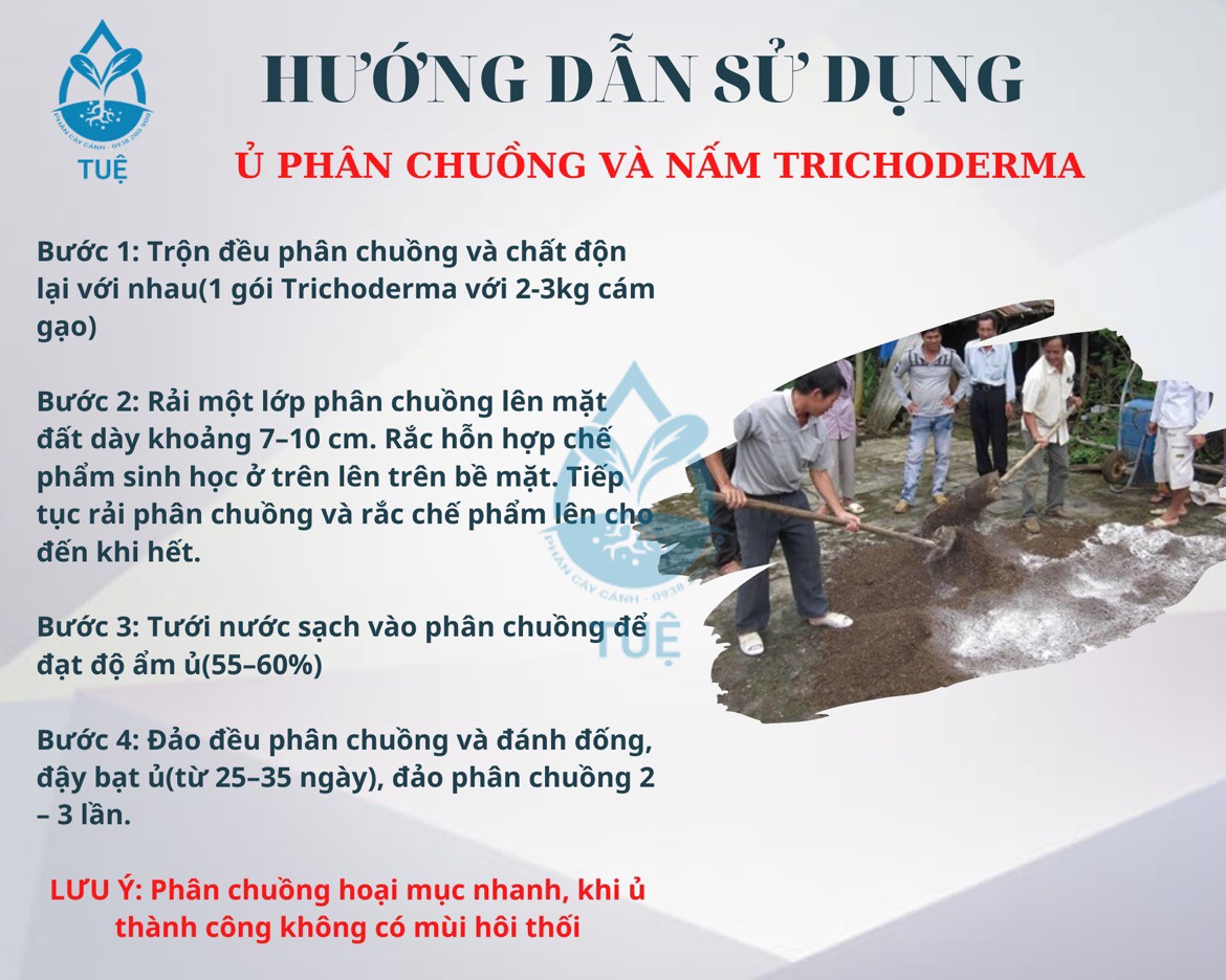 Chế phẩm men vi sinh nấm TRICHODERMA dùng ủ phân và xử lý đất