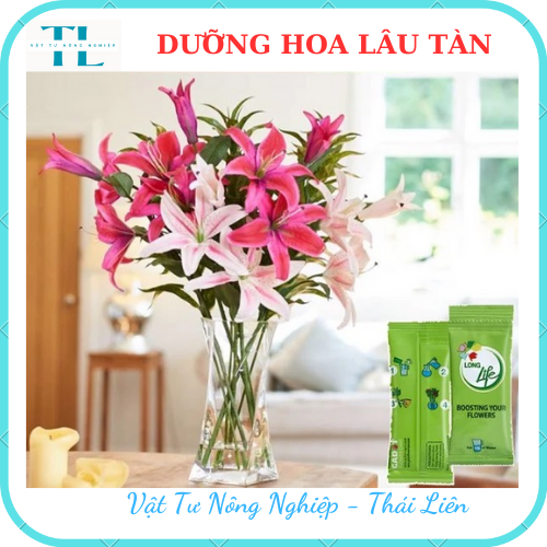 DƯỠNG HOA LÂU TÀN LONG LIFE, KHÔNG THỐI NƯỚC, BỘT DƯỠNG HOA KHÔNG HÉO