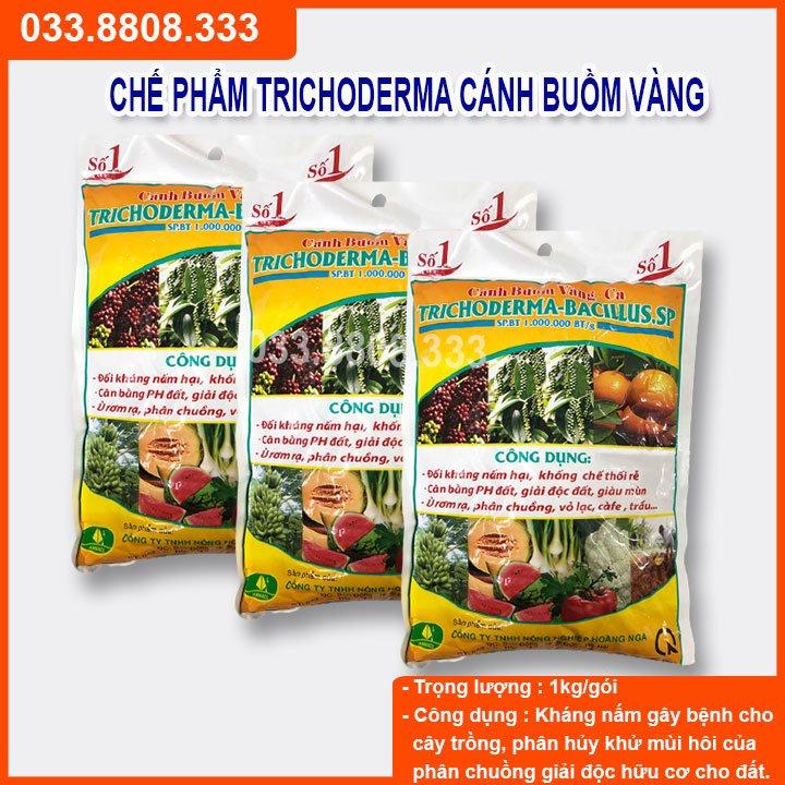 Trichoderma 1kg - chế phẩm hữu cơ diệt nấm đối kháng, tăng hiệu lực đối kháng cho cây trồng