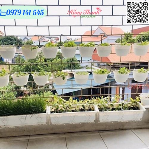 Chậu Ốp Tường Bán Nguyệt Loại 1, Chậu treo tường trồng hoa, cây cảnh