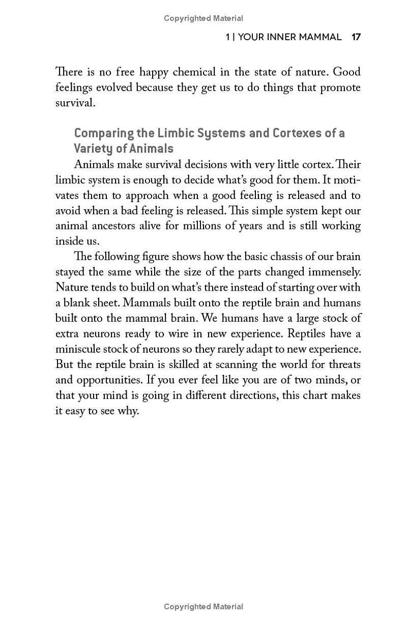 Sách ngoại văn: Habits Of A Happy Brain - Retrain Your Brain To Boost Your Serotonin, Dopamine, Oxytocin And Endorphin Levels