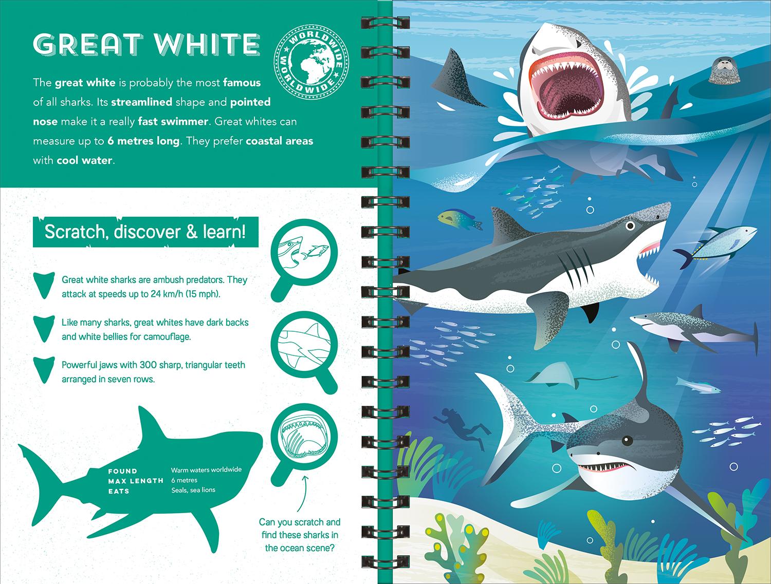 Sharks (Scratch Discover &amp; Learn)