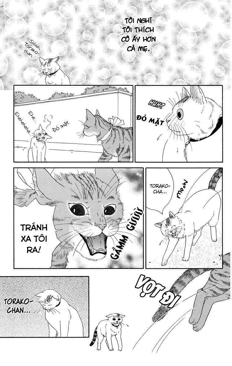 cuộc sống thường nhật của mèo zaccho chapter 1 11
