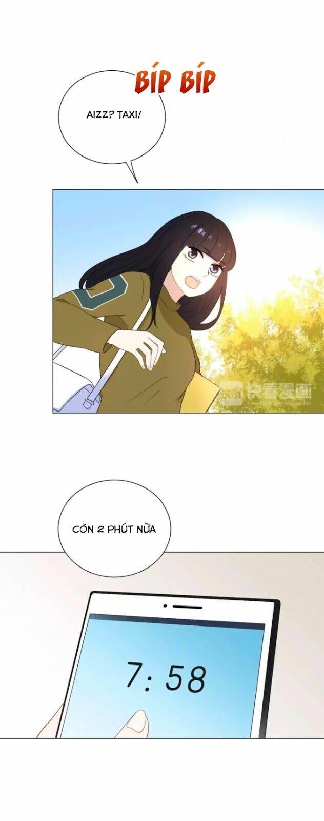 chào buổi sáng, hướng dương chapter 43 12