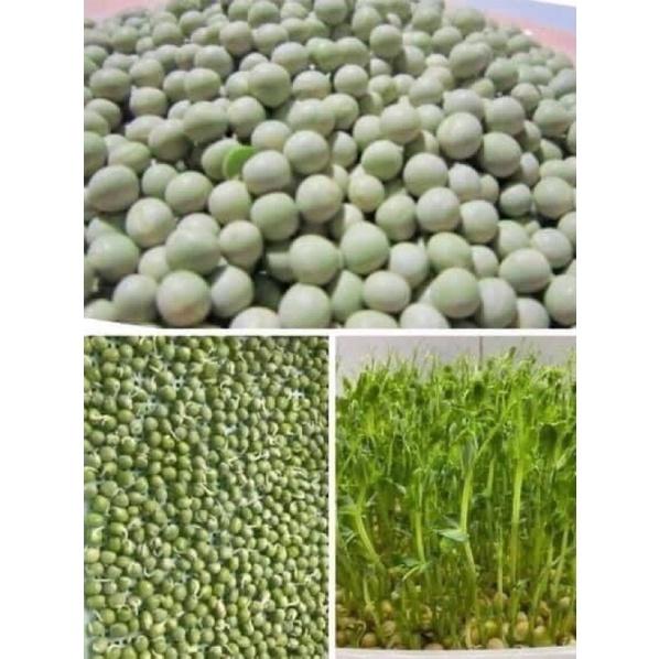 500g hạt đậu mầm Hà Lan xanh 30 nghìn