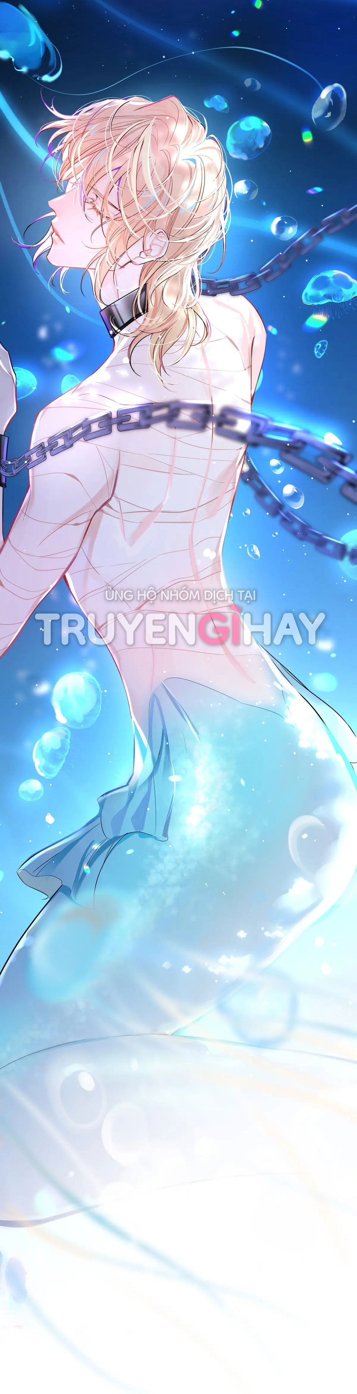 nhân ngư sa ngã chapter 1.1 13