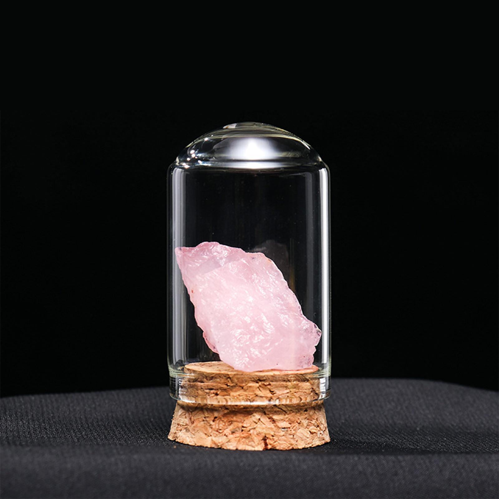 Novelty Rock and Mineral Collection for Adults Boys Birthday Gift
