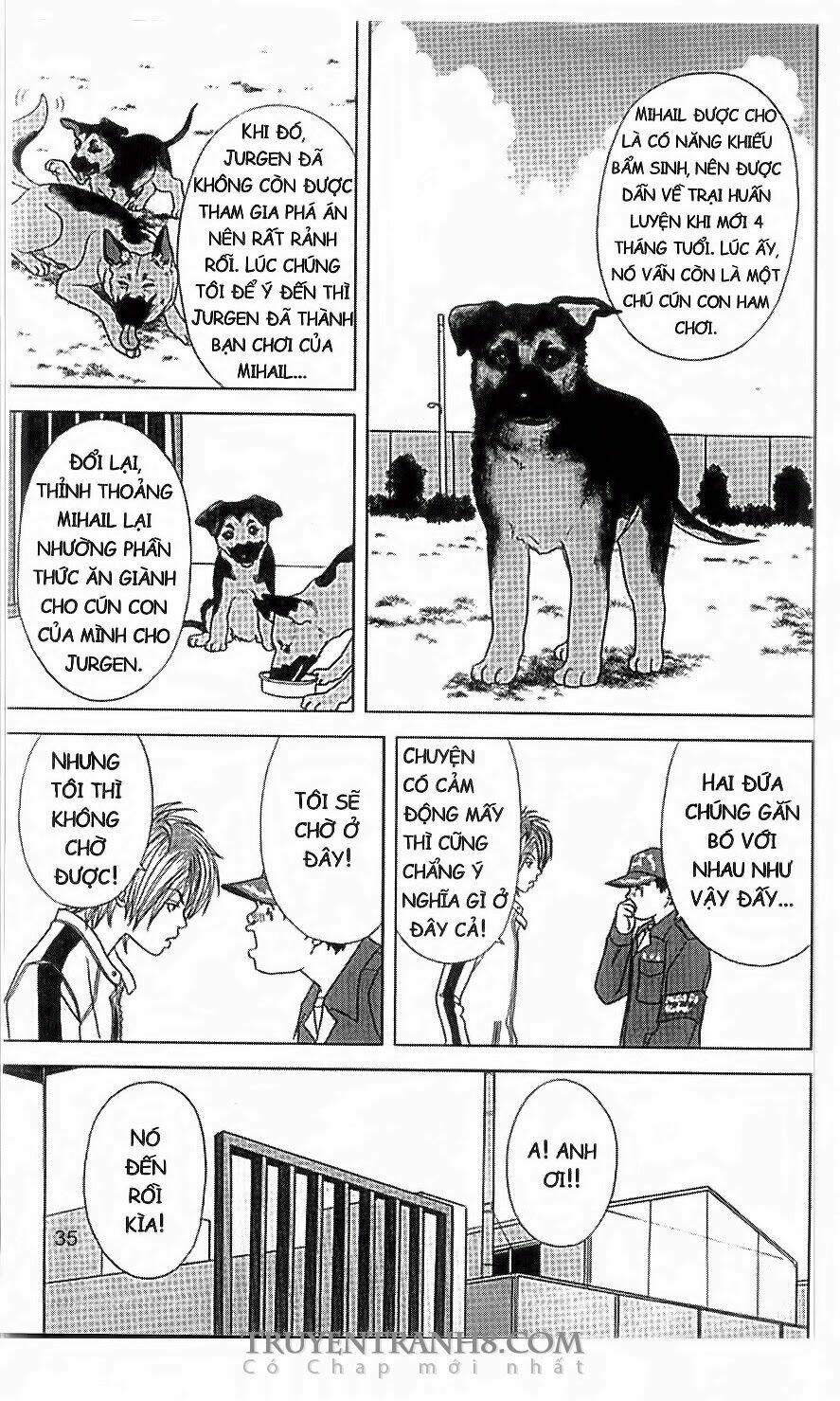 nữ thanh tra cún con chapter 35 2