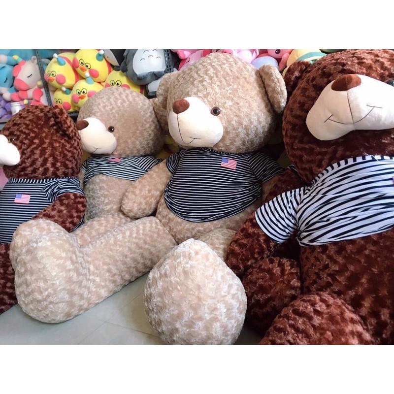 Gấu bông Teddy mặc áo, Teddy nhồi bông