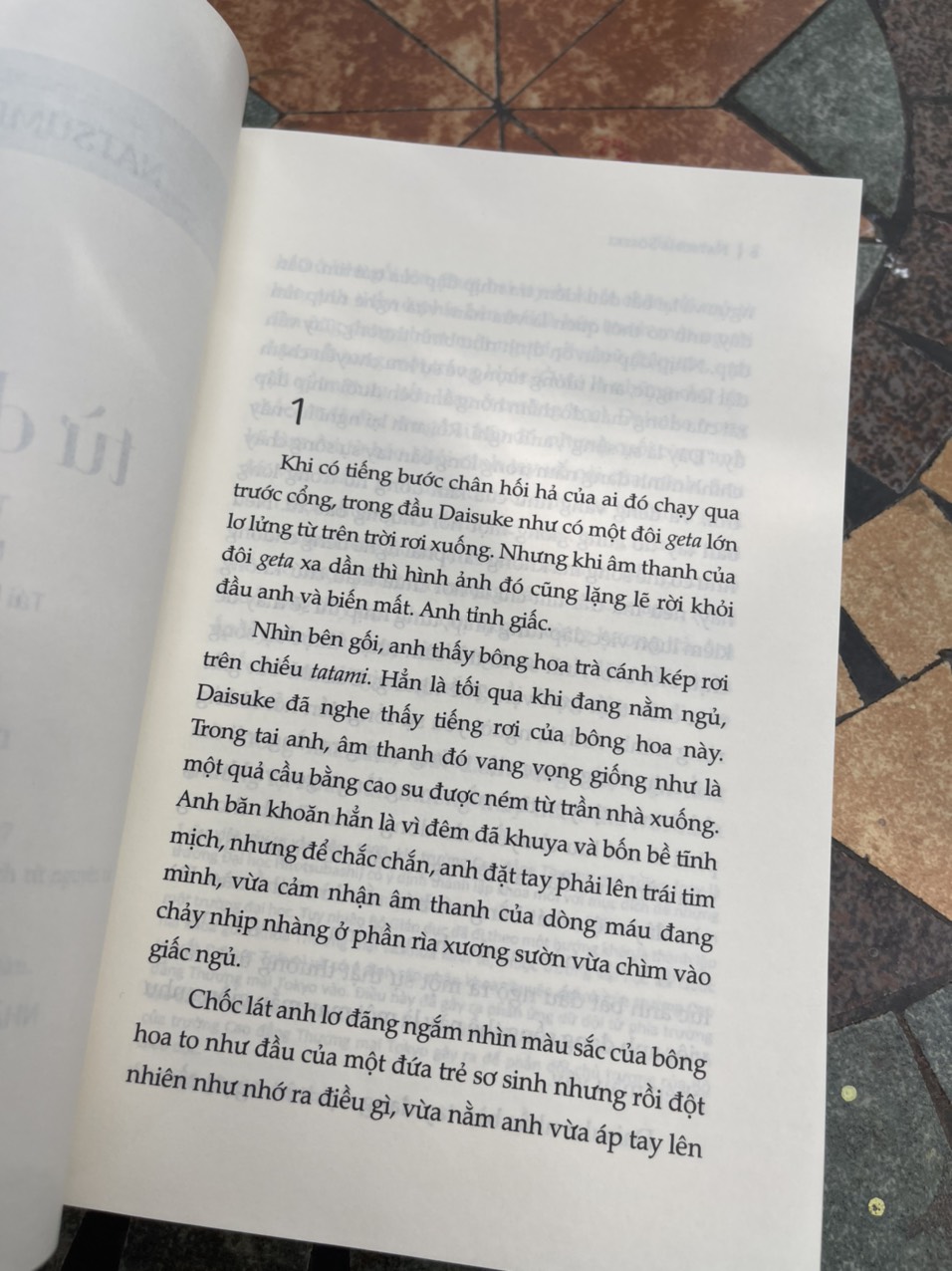 TỪ DẠO ẤY - Natsume Soseki – Tao Đàn - Bìa mềm