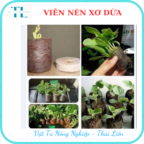 Viên Nén Xơ Dừa ươm hạt giống - Viên nén xơ dừa giá rẻ - Dễ sử dụng, tiện ích, giúp nảy mầm cao