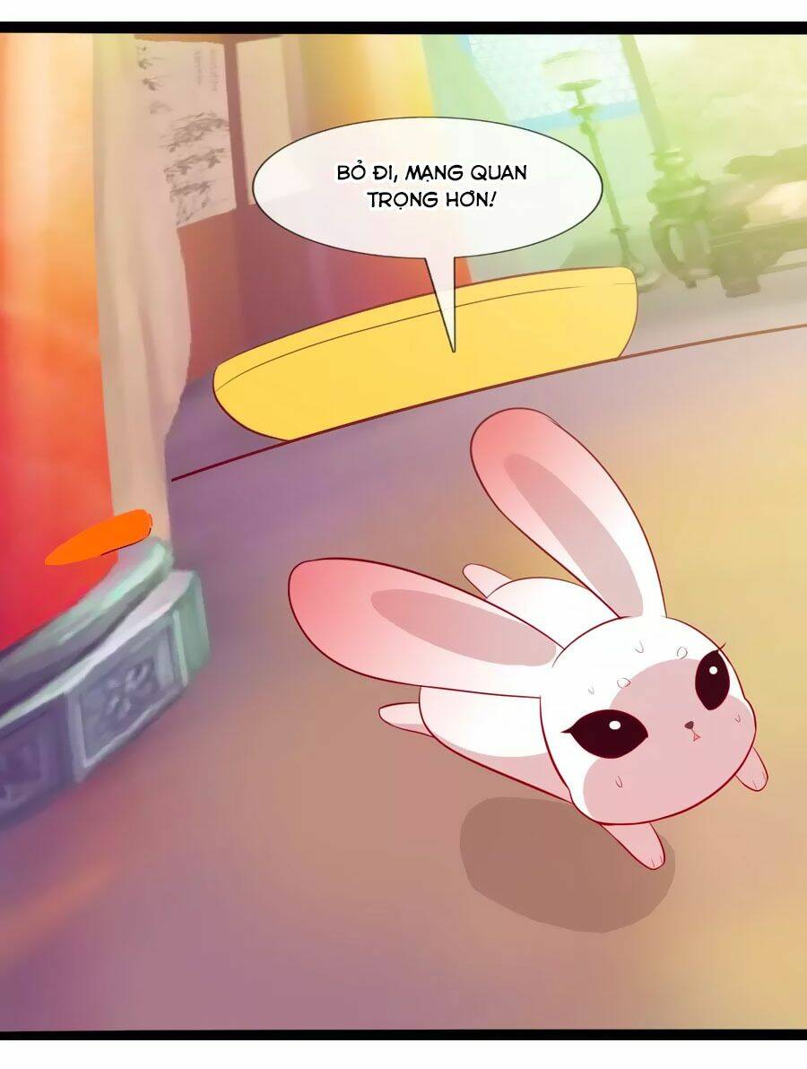 thỏ yêu tiểu vương phi chapter 50 9