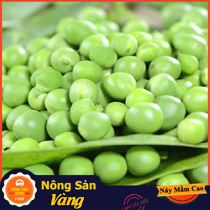 Hạt giống Đậu Hà Lan Xanh ( Gói 10 Gram ) - Nông Sản Vàng