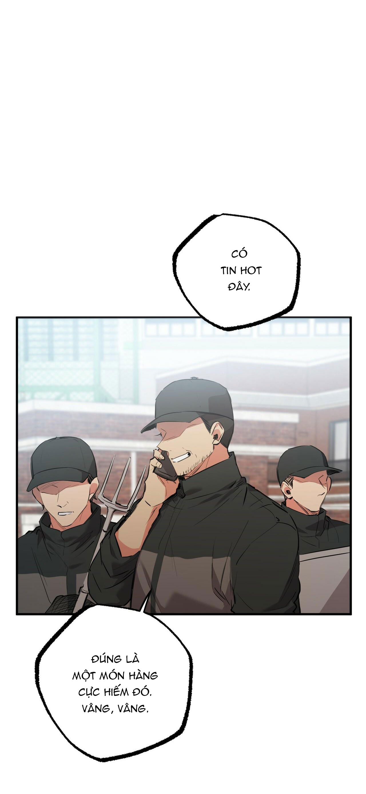 những chú thỏ của hapypy chapter 36 56