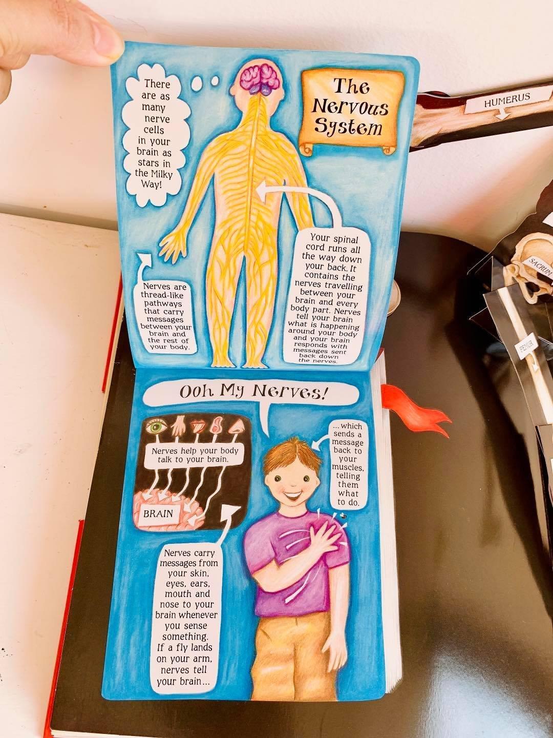 My Pop-Up Body Book