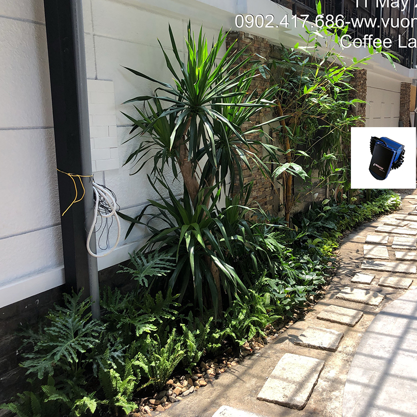 Bộ Hẹn Giờ Tưới Cây Tự Động nhập khẩu Israel dùng pin Hiệu Aquapro nhỏ gọn và tiết kiệm thời gian tưới hàng ngày