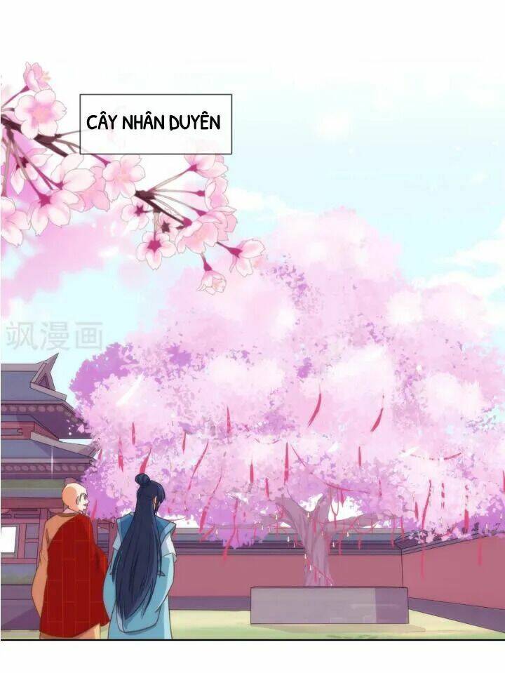 ồ, phu quân đáng yêu của tôi! chapter 14 30