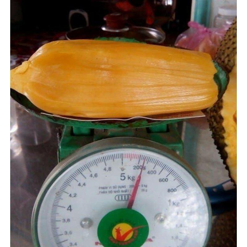 Cây giống mít trái dài