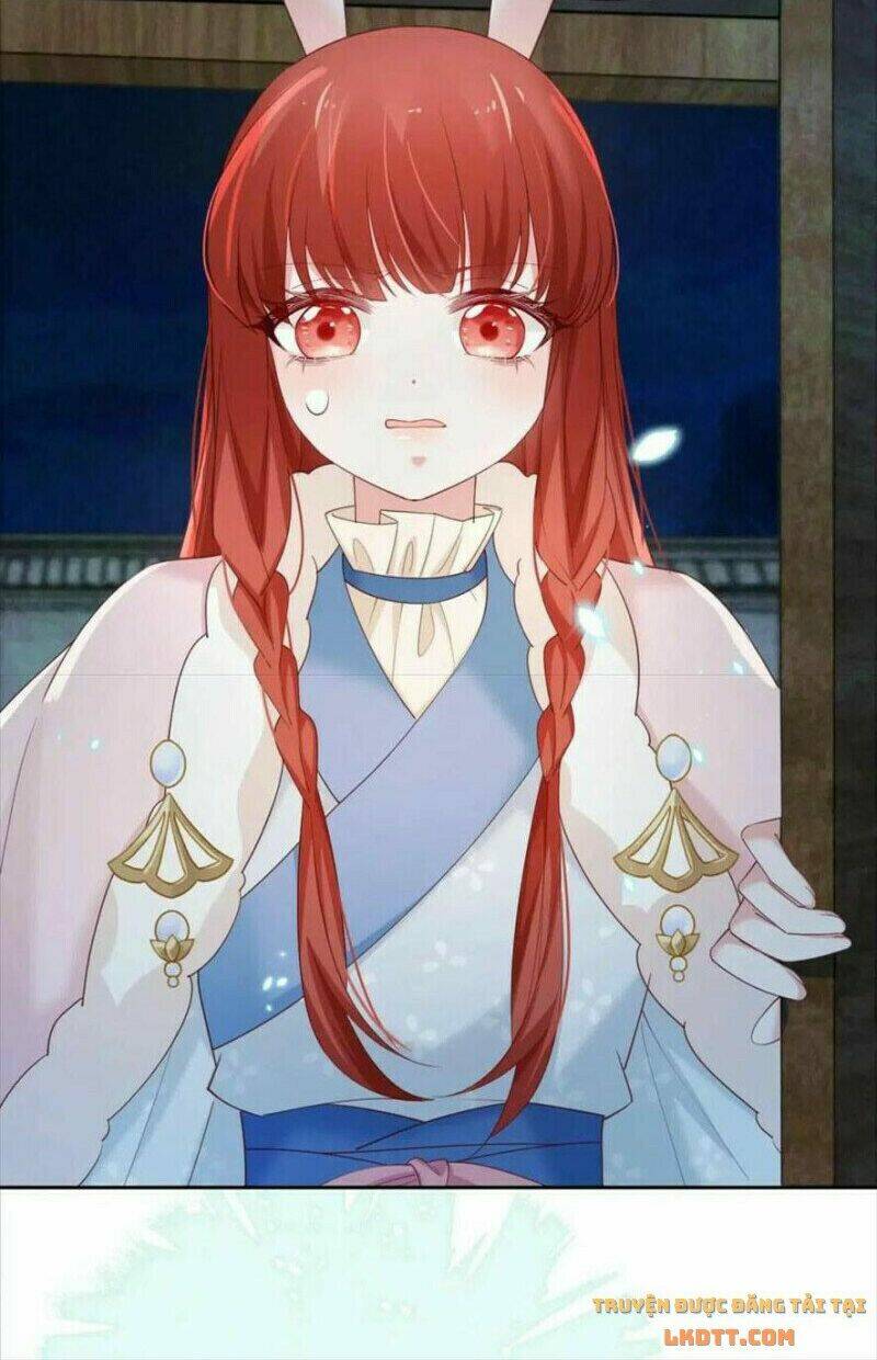 hắc hóa nam chính trực tuyến nuôi thỏ chapter 62 5