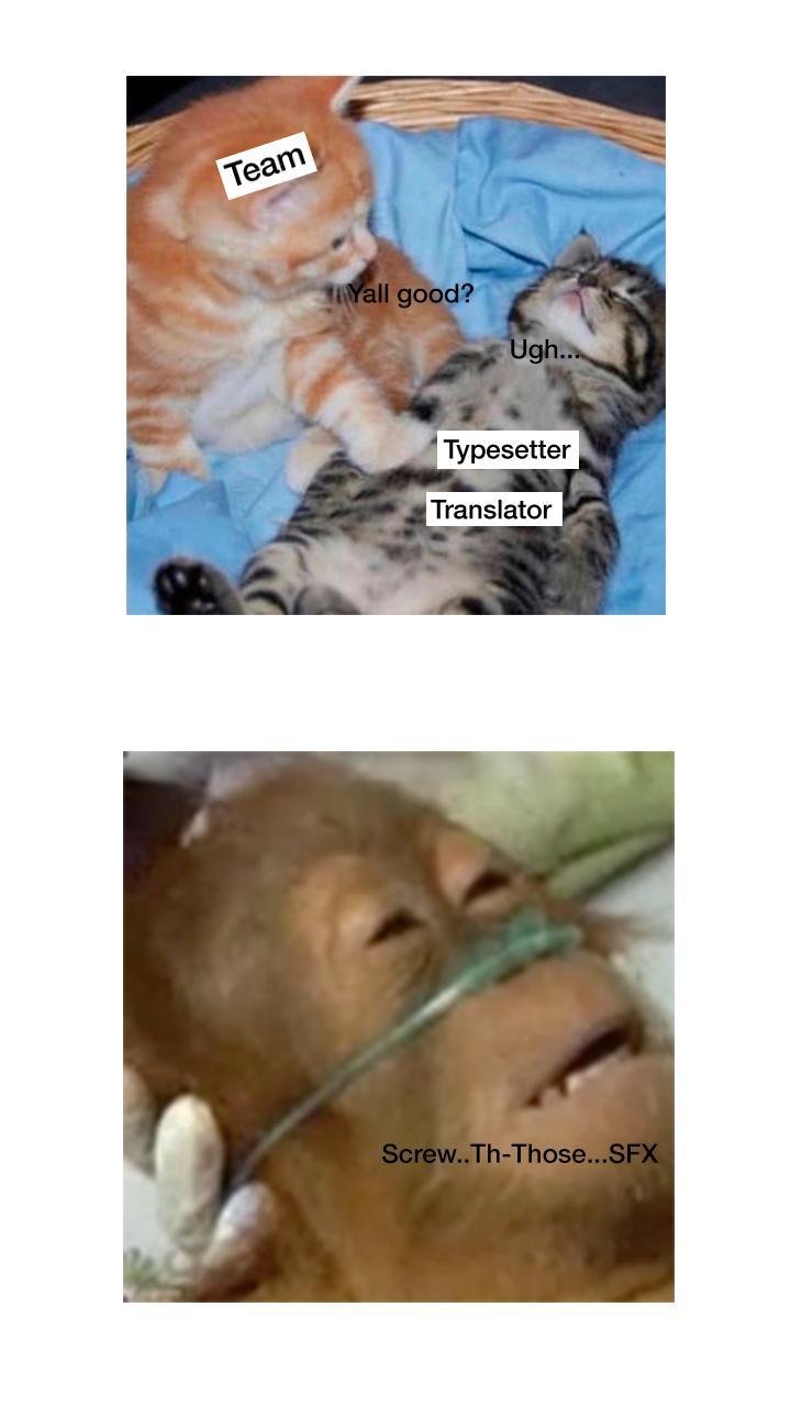 này thỏ ơi chapter 1 14