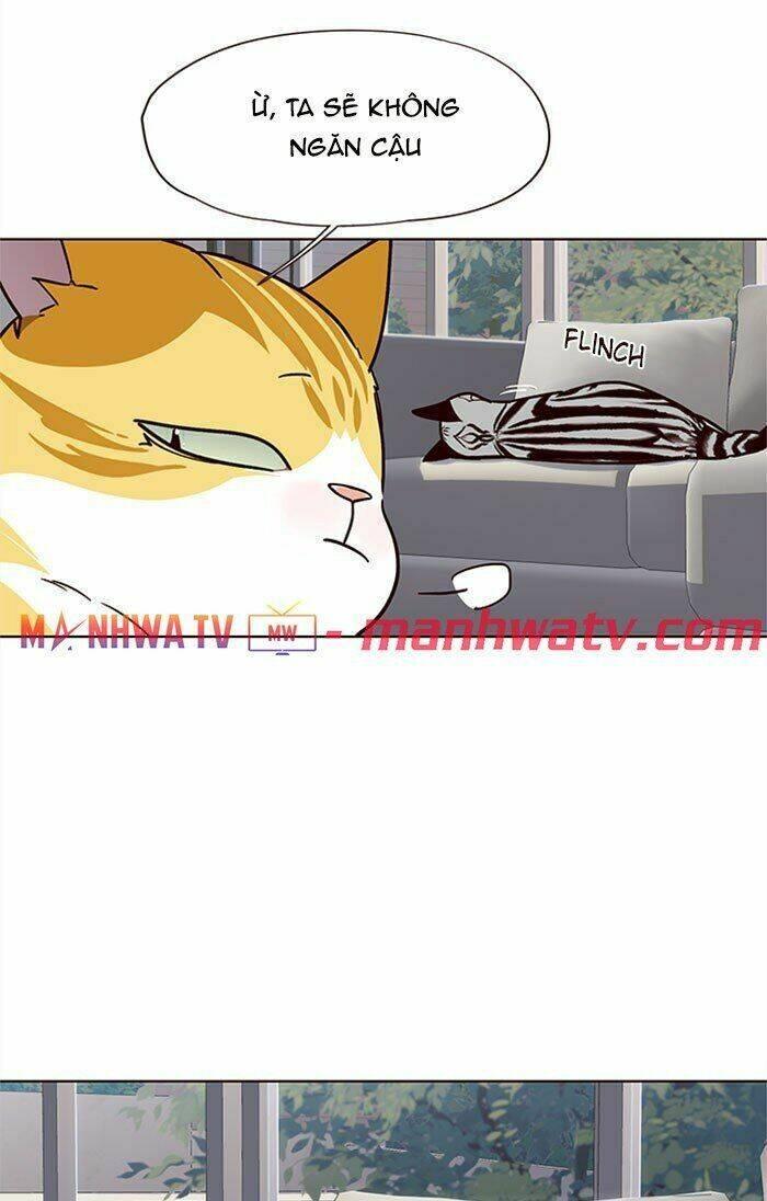 biến thân thành mèo chapter 37 33
