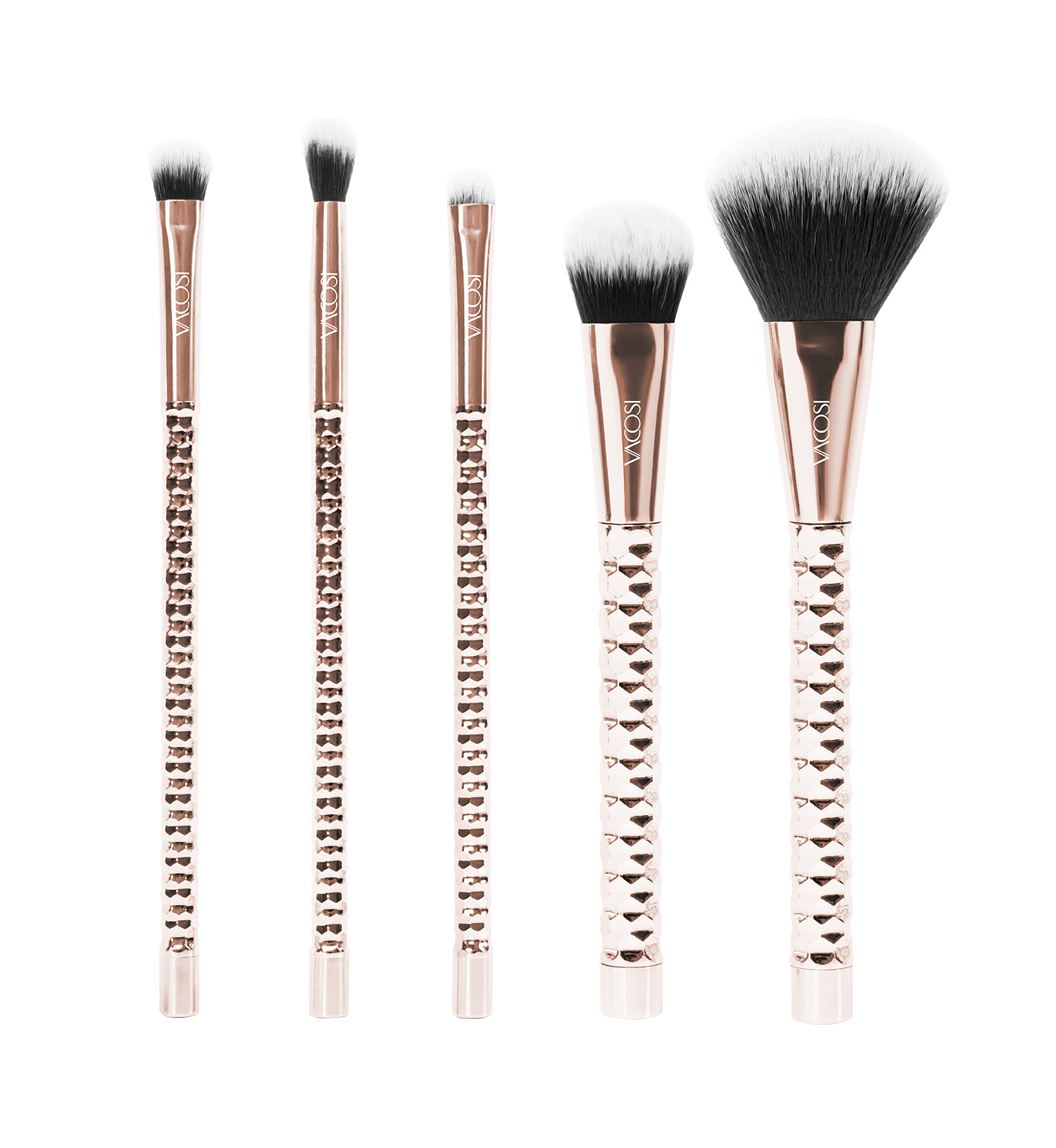 SC04 - BỘ KIT 5 CỌ CƠ BẢN VACOSI, PHIÊN BẢN GOLDEN DRAGON - LUNA THE FACE &amp; EYES BRUSH KIT, 5PCS