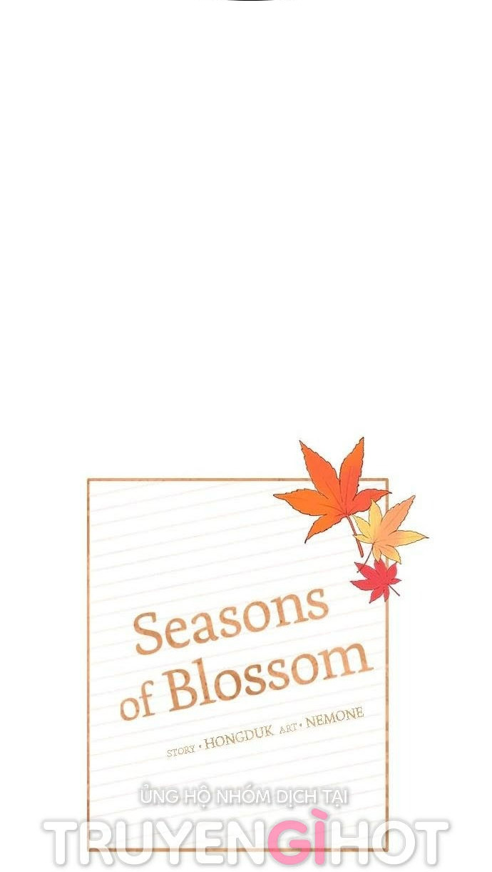 thanh xuân rực rỡ - season of blossom chapter 92 16