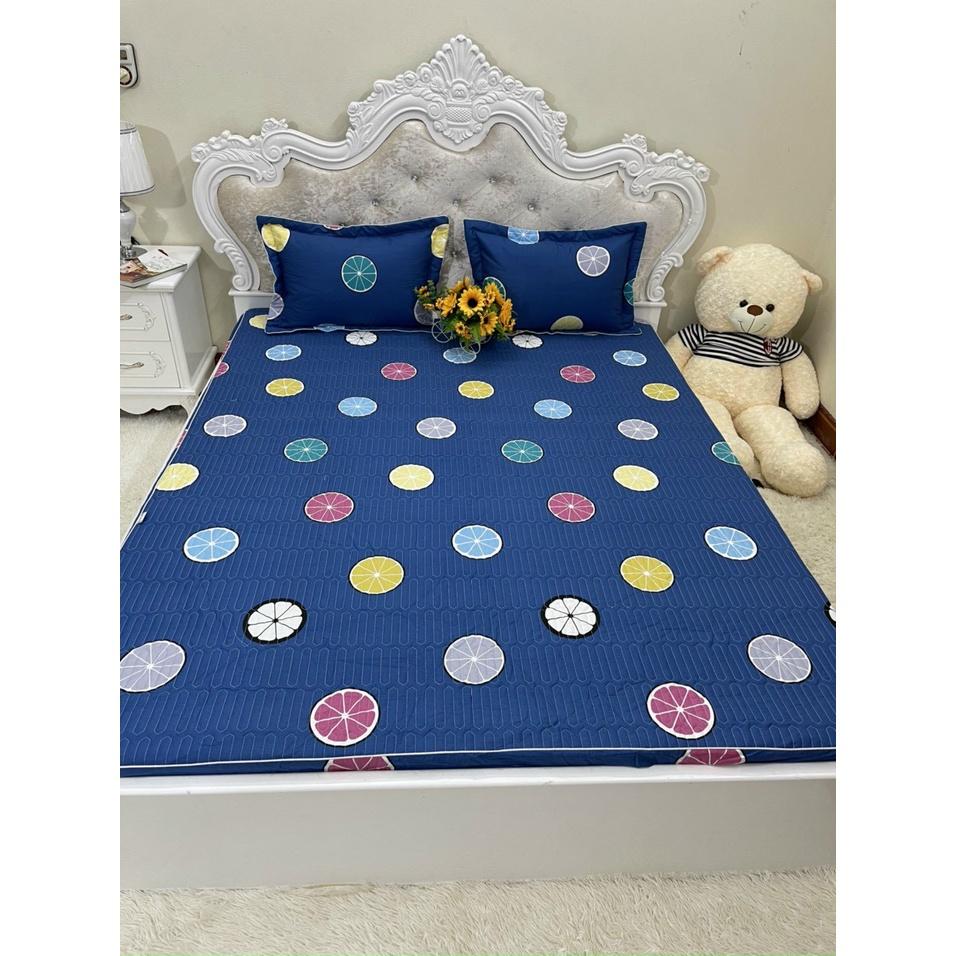 Bộ ga gối cotton trần bông Hàn các kích thước