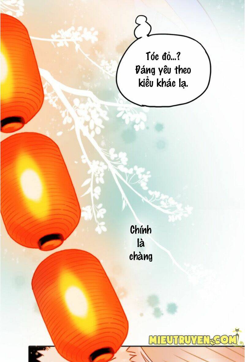 cướp chàng vợ về đón năm mới chapter 1 37