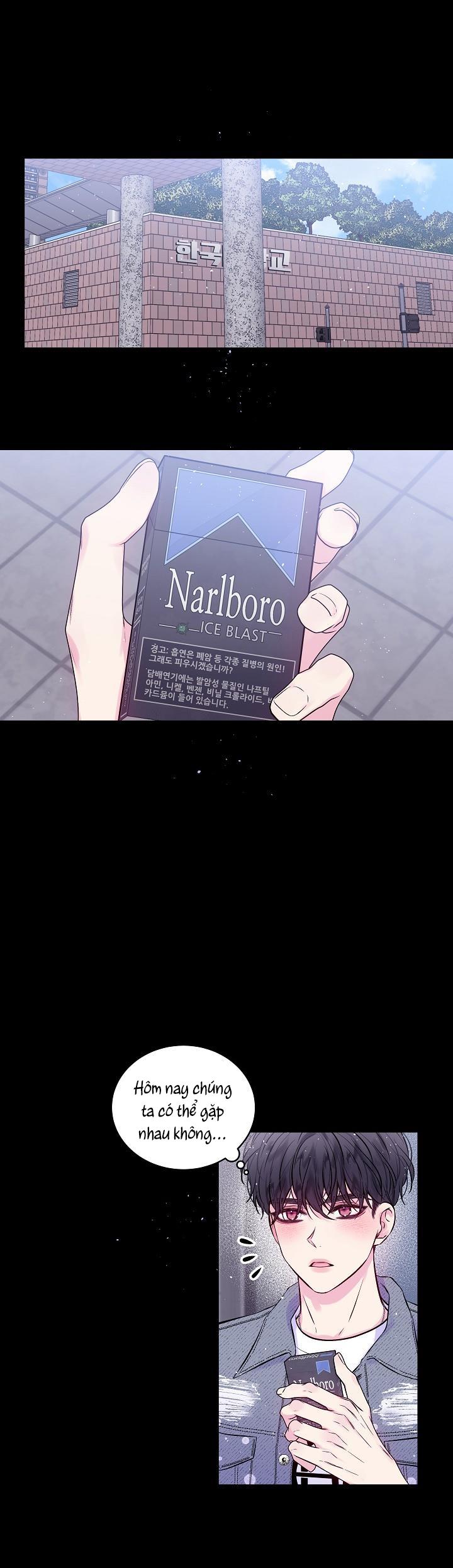 bình minh thứ hai chapter 50 40