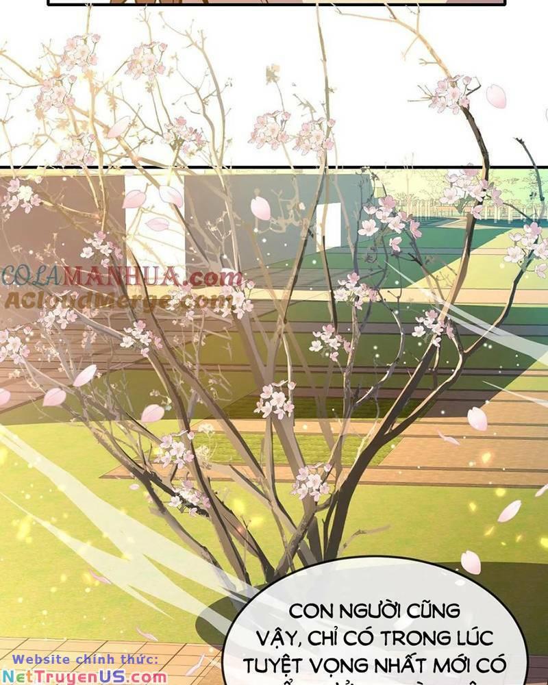 nhìn thấy thanh máu, ta xử tội thần linh chapter 127 38