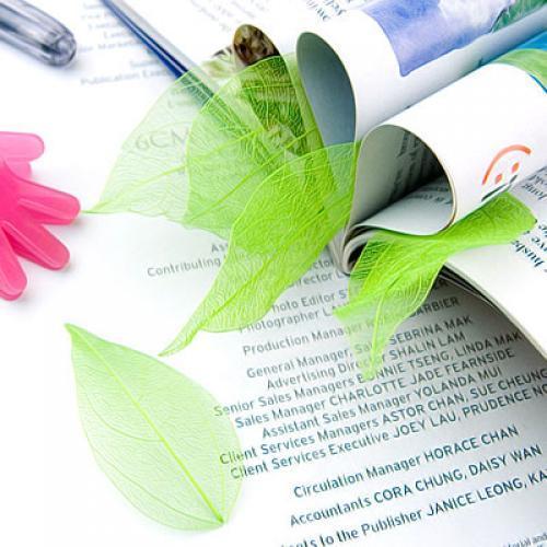 100 Pieces Natural Plant Leaves for Craft Cards Scrapbooking Bookmark DIY