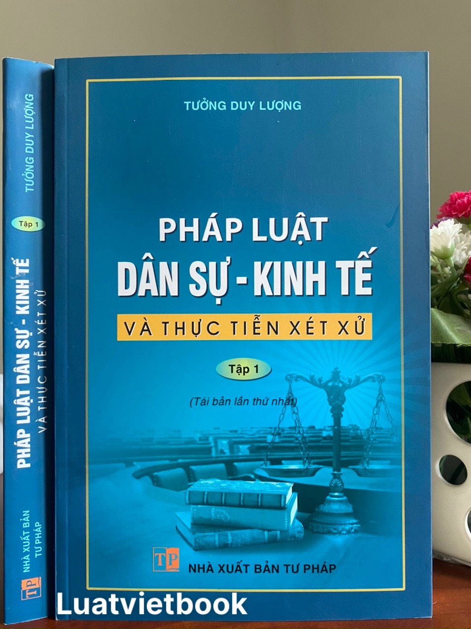 Pháp Luật Dân Sự kinh Tế Và Thực Tiễn Xét Xử ( Tập 1 )