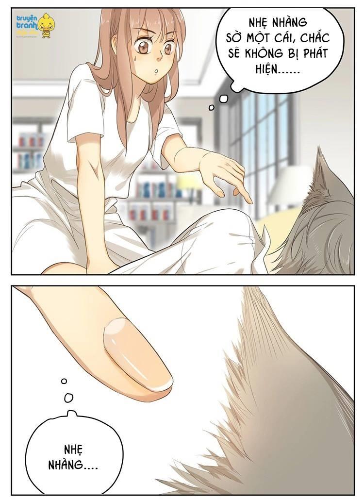 cứu mạng ! loài mèo thống trị thế giới rồi ! chapter 16 5