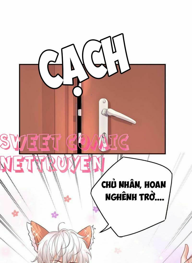 chàng trai người máy ấm áp 741 của tôi chapter 8 22