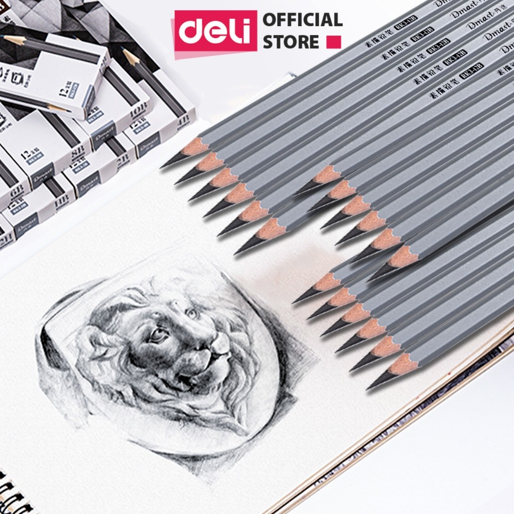 Bút Chì Phác Thảo Deli Phiên Bản Cao Cấp Dmast 2H, HB, 2B, 4B, 6B, 8B,10B,12B Vẽ Chuyên Nghiệp Chì Mềm Độ Đậm Chuẩn