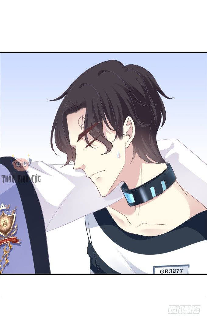 kiểm soát tuyệt đối chapter 4 15