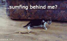 just troll chapter 9 5