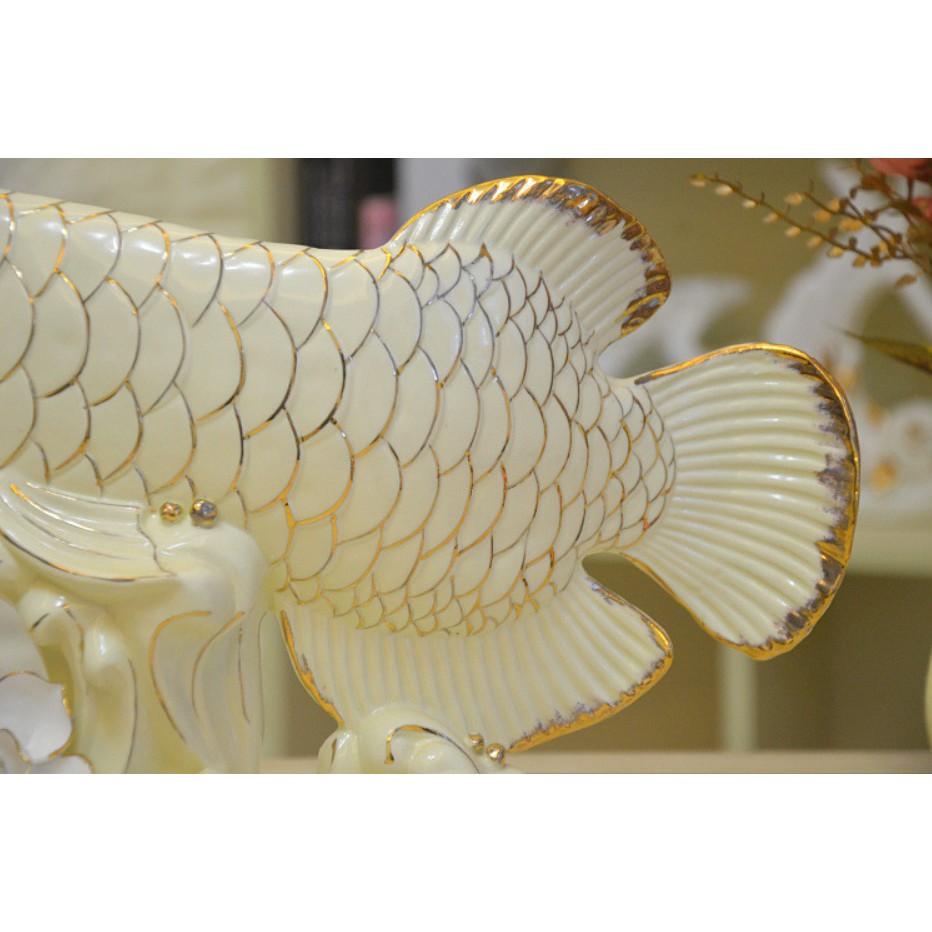 Cá rồng trang trí size lớn