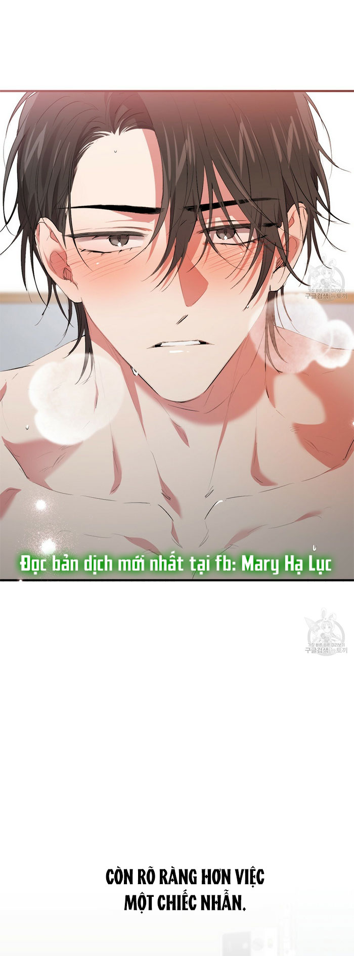 những chú thỏ của hapypy chapter 43 73