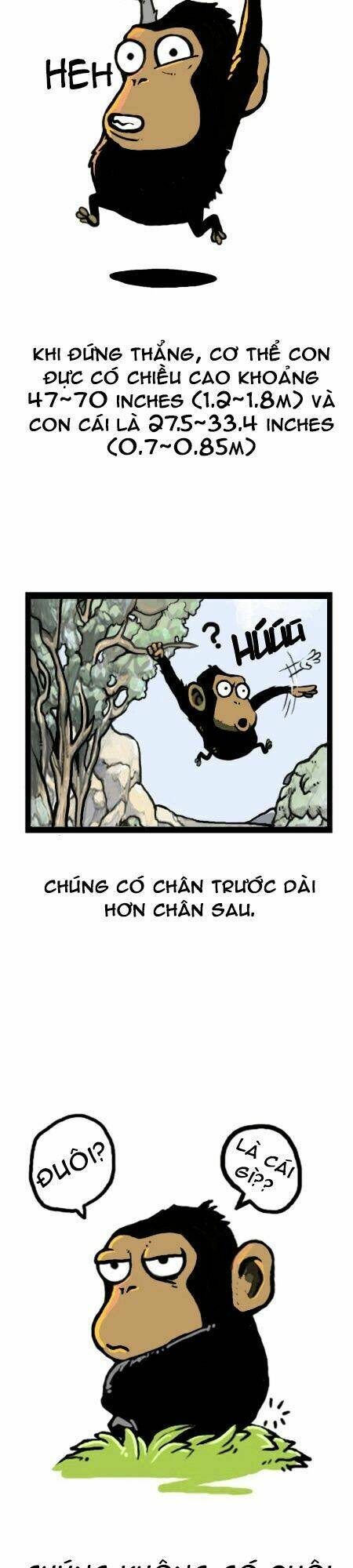 earth, human, and animal chapter 15 8