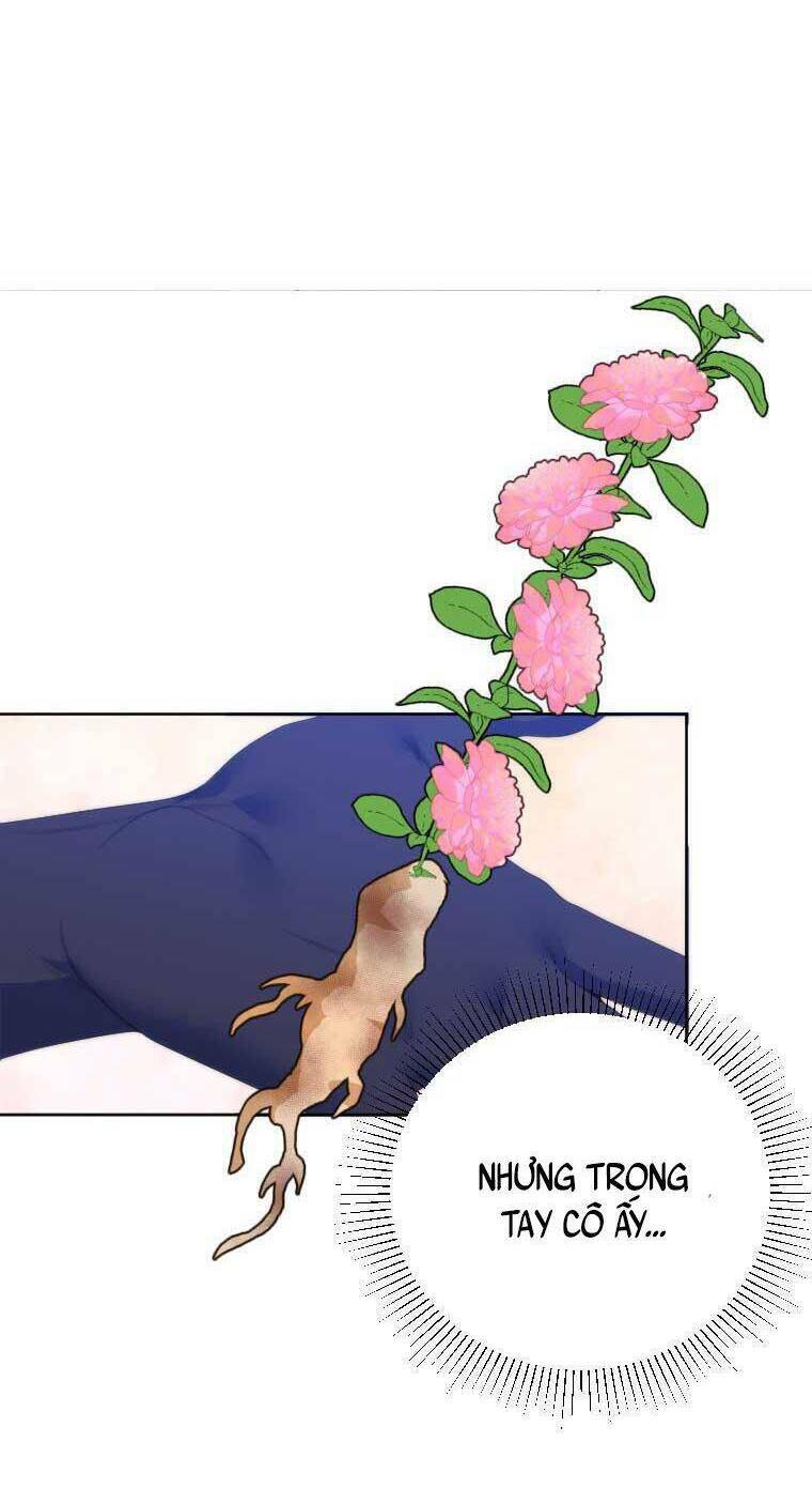 bước tới con đường hoa chapter 49 29