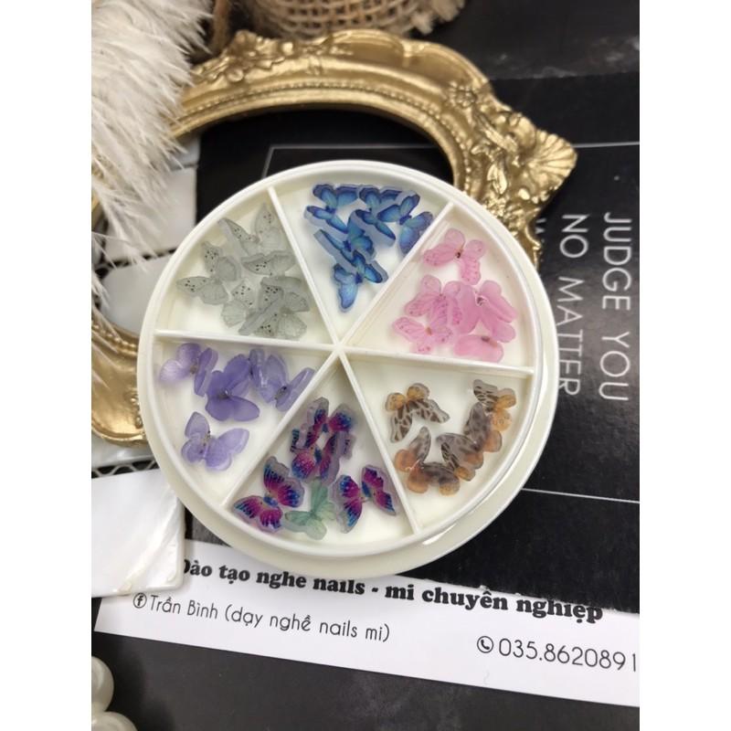 Charm set tròn